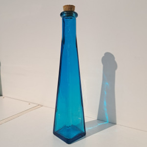 Botella de vidrio 22x4.5cm