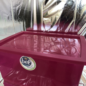 Organizado bel 60L