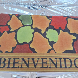 Alfombra bienvenida 