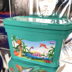 Organizador Sanremo 29L