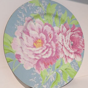 Plato de plástico 33cm varios diseños 