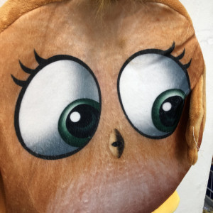 Mochila de pollo 
