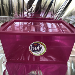 Organizador bel 30L