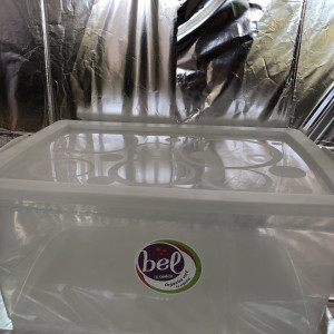 Organizado bel 60L