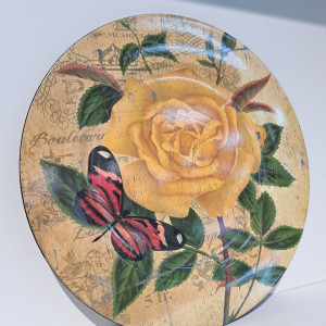 Plato de plástico 33cm varios diseños 