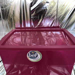Organizado bel 60L