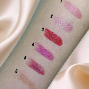 LABIAL TAPA DORADO 6 TONOS LS0460