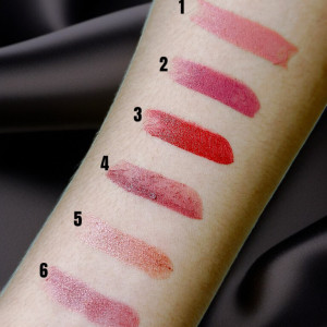 LABIAL & BRILLO 6 TONOS LS0346