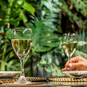 Libbey Copa de vino Blanco 251ml