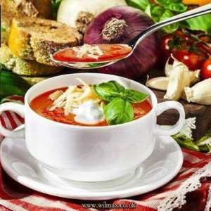  Taza sopera fina de  porcelana wilmax