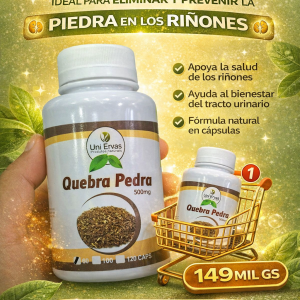 SUPLEMENTO QUERA PEDRA