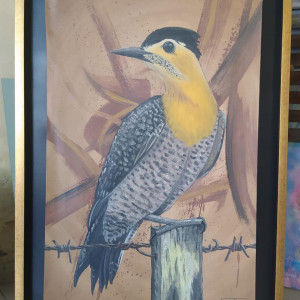 CUADRO PAJARO CARPINTERO 