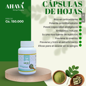 CÁPSULAS DE HOJAS DE MORINGA 