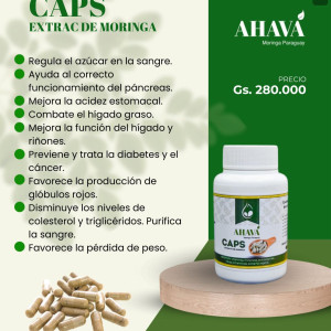 CAPSULAS DE EXTRACTO SEMILLAS DE MORINGA