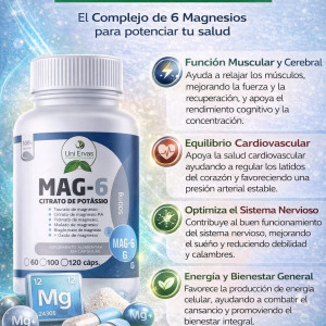 6 MAGNESIOS DE 120 CAPSULAS