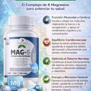 MAG 6 DE 60 CAPSULAS