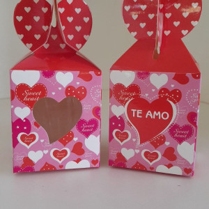 Cajitas para souvenirs