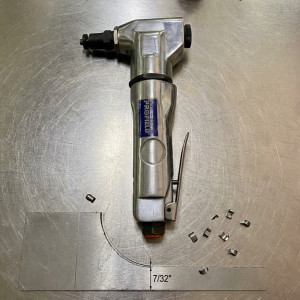 Roedora neumatica 